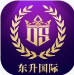 东升国际